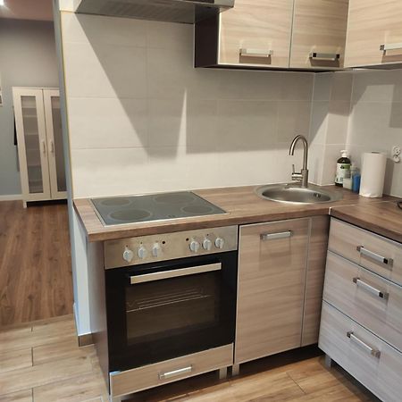 Centrum Apartament Old Town شفيدنيتسا المظهر الخارجي الصورة