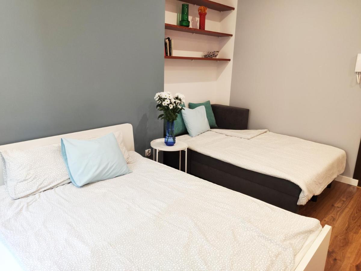Centrum Apartament Old Town شفيدنيتسا المظهر الخارجي الصورة
